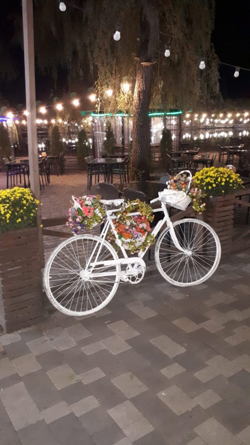 Расположение санатория Славяновский Исток в городе Железноводске - фотография