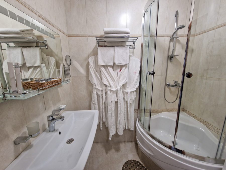 Номер Студия в санатории Славяновский Исток в городе Железноводске - фотография