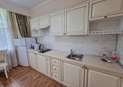 Номер Студия в санатории Славяновский Исток в городе Железноводске - фотография