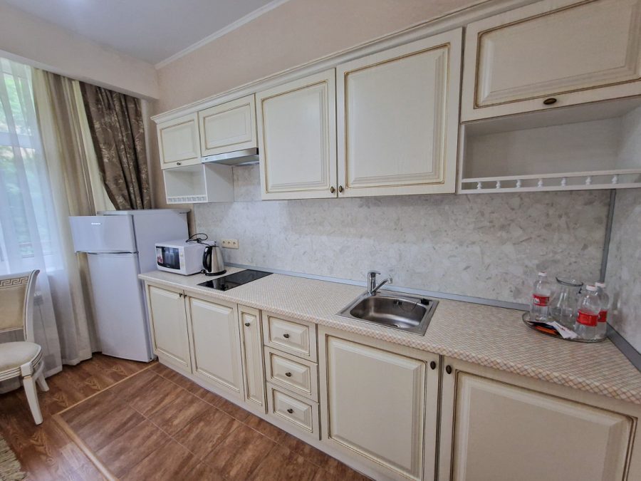 Номер Студия в санатории Славяновский Исток в городе Железноводске - фотография