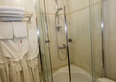 Номер Студия в санатории Славяновский Исток в городе Железноводске - фотография