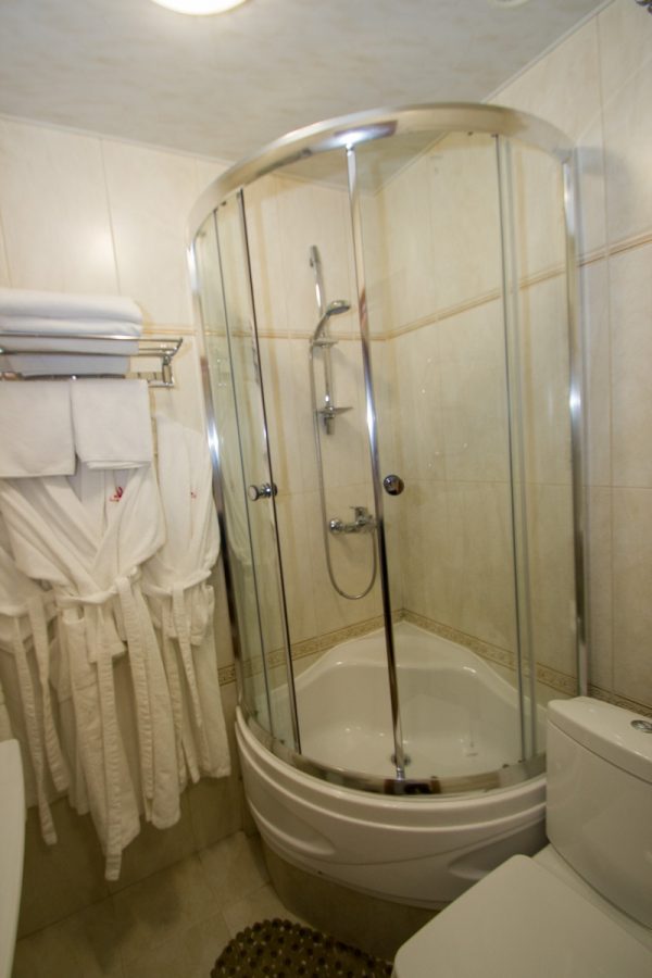 Номер Студия в санатории Славяновский Исток в городе Железноводске - фотография