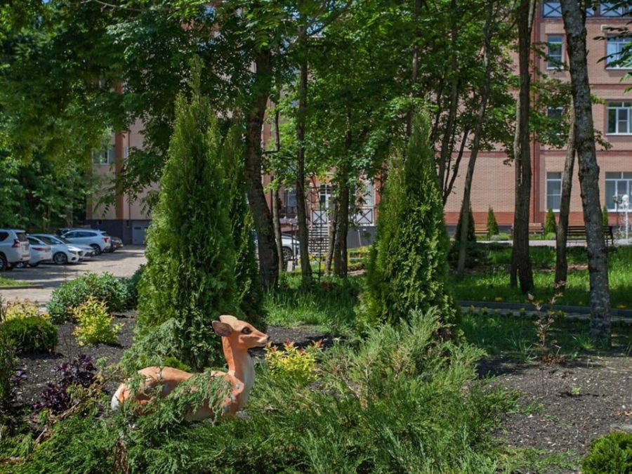 Территория санатория Славяновский Исток в городе Железноводске - фотография