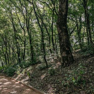 Территория санатория Славяновский Исток в городе Железноводске - фотография