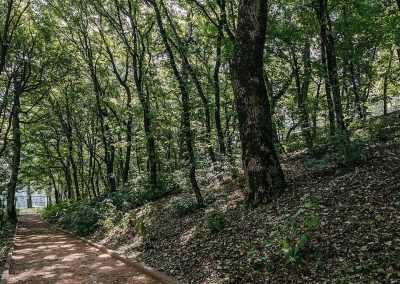 Территория санатория Славяновский Исток в городе Железноводске - фотография