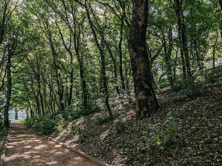 Территория санатория Славяновский Исток в городе Железноводске - фотография