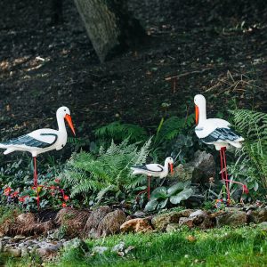 Аисты в санатории Славяновский Исток в городе Железноводске - фотография