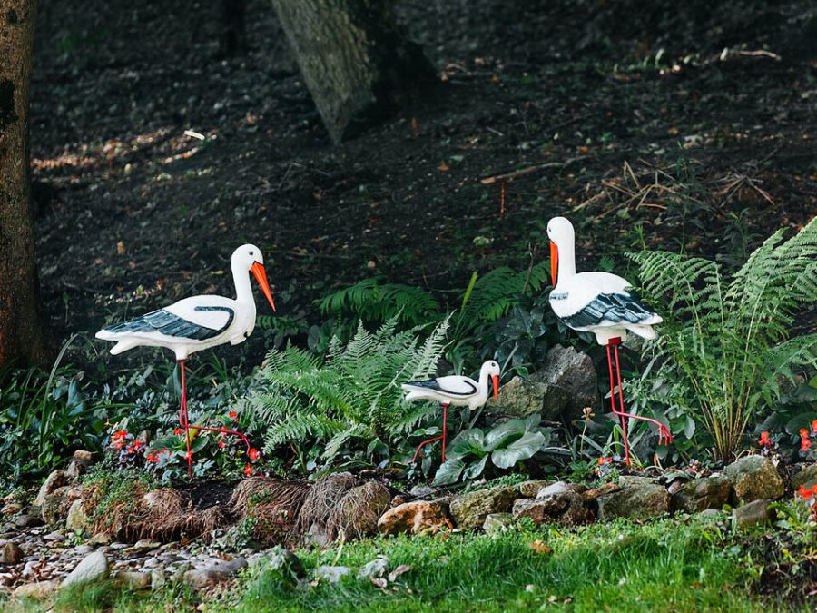 Аисты в санатории Славяновский Исток в городе Железноводске - фотография