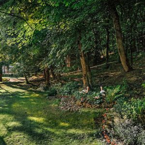 Территория санатория Славяновский Исток в городе Железноводске - фотография