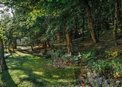 Территория санатория Славяновский Исток в городе Железноводске - фотография