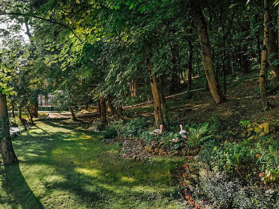 Территория санатория Славяновский Исток в городе Железноводске - фотография